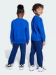 Детский спортивный костюм (свитшот + штаны) Adidas Essentials JM0881 128 см Team Royal Blue (4068808288248) - изображение 3