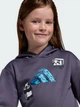 Детский спортивный костюм (худи + штаны) Adidas Minecraft KA0250 122 см Aurora Onix (4068819643111) - изображение 6