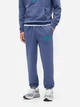 Спортивный костюм мужской утепленный GAP 888130987 XL Синий (1159853862) - изображение 5