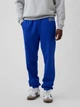 Спортивные штаны мужские утепленные GAP 819319606 M Синие (1159853239) - изображение 1