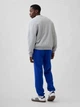 Спортивные штаны мужские утепленные GAP 819319606 M Синие (1159853239) - изображение 2