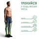 Резиновая петля -эспандер EVAPOL 23-57 кг зеленый, резина для подтягиваний, фитнеса и тренировок - изображение 2