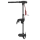Лодочный электромотор Haswing Protruar 1.0 65 lbs 12V - изображение 1