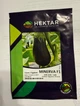 Баклажан Минерва F1 Minerva F1 семена 100 шт Hektar - изображение 2