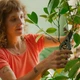 Секатор для комнатных растений Fiskars 1075314 - изображение 6