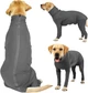 Комбінезон для відновлення собак Derby Pet Recovery Suite, Black, S - зображення 2