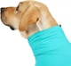 Комбинезон для восстановления собак Derby Pet Recovery Suite, Turquoise, S - изображение 4
