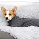 Комбинезон для восстановления собак Derby Pet Recovery Suite, Grey, XL - изображение 5