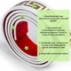 Молдинг 3000х50х6 мм Білий із золотом SW-00002688 - изображение 3