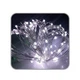 Світлодіодна гірлянда LED зовнішня з контролером 10м White R82853-1 BTB (54968) - зображення 2