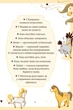 Єдиноріжжя. Чарівний виклик. Книга 3 (9786171713222) - зображення 5