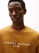 Футболка хлопковая длинная мужская Tommy Hilfiger 78J6318-HJW(Country Brown) XL Коричневая (198296256314) - изображение 4