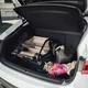 Прогулянкова коляска Britax-Romer Rio Style Teak, 2000041613 - зображення 13
