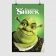 Постер Шрек, Shrek (2001), A3 42×28 см (id4483) - изображение 1