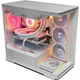 Ігровий комп'ютер GM-PC AMD Ryzen 7 9700X Gaming Lite / MSI MAG B650 / DDR5 32 GB / SSD Kingston 1 TB Midi / Nvidia RTX 5070 12G / Gigabyte 650 W - изображение 4