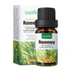 Ефірна олія з розмарином SADOER Rosemary Multipurpose Plant Essential oil, 10 мл - изображение 1