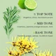 Ефірна олія з розмарином SADOER Rosemary Multipurpose Plant Essential oil, 10 мл - изображение 4