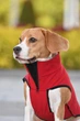 Жилет Noble Pet Softshell Ostin O4149/L Red - изображение 4