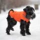 Пуховик Noble Pet Bobby B4140/2XL Orange - изображение 11