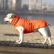Пуховик Noble Pet Bobby B4140/2XL Orange - изображение 13
