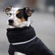 Пуховик Noble Pet Bobby B4141/2XL Black - изображение 8