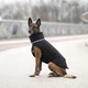 Пуховик Noble Pet Bobby B4141/2XL Black - изображение 10
