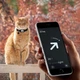 Нашийник котячий шкіряний водонепроникний під Apple AirTag - изображение 2