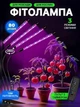 Фитолампа для роста растений на 4 ветки Настольная для комнатных цветов Led Usb для выращивания растений - изображение 1