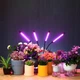 Фитолампа для роста растений на 4 ветки Настольная для комнатных цветов Led Usb для выращивания растений - изображение 6