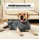 Гигиенические трусы/комбинезон для собак WanTalk Full Body Dog Diaper, Grey, M - изображение 2