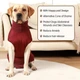 Гигиенические трусы/комбинезон собак WanTalk Full Body Dog Diaper, Wine Red, XS - изображение 3