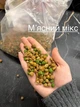 Сухий корм для котів Йошкін Кіт Eshkin kotik ЕКОНОМ м'ясний мікс 10 кг - зображення 3