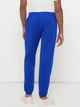 Спортивные штаны утепленные мужские GAP 819319606 L Синие (1159853499) - изображение 2