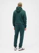 Спортивные штаны утепленные мужские GAP 685523377 L Зеленые (1159853500) - изображение 4