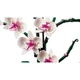 Конструктор Орхідея Cymbidium Orchid Без бренду 41см 54 - изображение 6