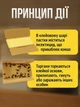 Клеевые липкие ловушки 10 шт от тараканов домик ловушка лучшее эффективное средство против русаков насекомых муравьев клопов паразитов клещей клейкая липкая клеевая ловушка без яда средство уничтожения вредителей на кухню дом сарай безопасные для животных - изображение 2