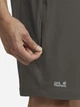 Шорты короткие мужские Jack Wolfskin Hikeout A63930-F0302 50 Коричневые (4064886698955) - изображение 4