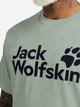 Футболка хлопковая длинная мужская Jack Wolfskin Brand A65910-T0452 L Зеленая (4064886689243) - изображение 4
