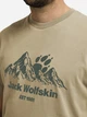Футболка хлопковая длинная мужская Jack Wolfskin Carefree A66090-T0468 L Бежевая с принтом (4064886684149) - изображение 4