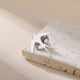 Значок из стали BROCHE брошь бижутерия Птицы Ласточка серебристый BRGV114865 - изображение 3