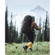Рюкзак туристичний Naturehike Helium CNK2450XB014, 70 л, чорний, L (6975641883883) - зображення 4