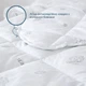 Ковдра бавовняна ТЕП DREAM COTTON 150×210 см півтораспальна літня антиалергенна бавовняне волокно 150 г/м² мікрофібра - зображення 1