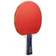 Набор для настольного тенниса Joola Family Advanced 4 Bats 6 Balls (54823) - изображение 2