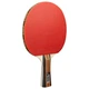 Набор для настольного тенниса Joola Family Advanced 4 Bats 6 Balls (54823) - изображение 3