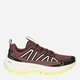 Женские кроссовки для треккинга Jack Wolfskin Wild Hike Low W A65582-J0127 38 (5UK/7USA) 24.3 см Разноцветные (4064886678032) - изображение 1