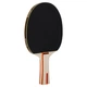 Набор для настольного тенниса DUNLOP RAGE DL10285750 1 ракетка 2 мяча - изображение 3