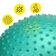 Мяч для фитнеса (фитбол) Cornix 55 см массажный Anti-Burst XR-0472 Mint - изображение 3