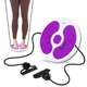 Диск здоровья для талии Cornix Twisting Waist Disc с эспандерами XR-0449 White/Violet - изображение 1