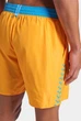 Чоловічі шорти Arena TEAM STRIPE BEACH 008931-380 XL Помаранчевий - изображение 5