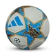 Футбольний мʼяч Adidas Ліга Чемпіонів Розмір: 5 Код: 0131-5 - зображення 1